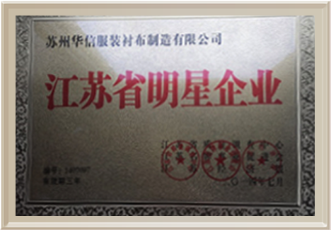 江蘇省明星企業